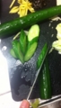 20120518222142