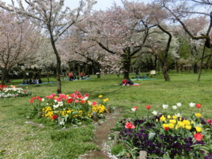 f:id:osyousan:20170415204232j:image