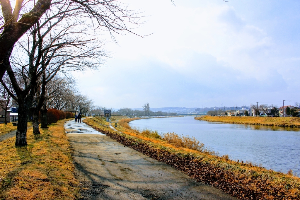 f:id:oszq:20190105121615j:plain