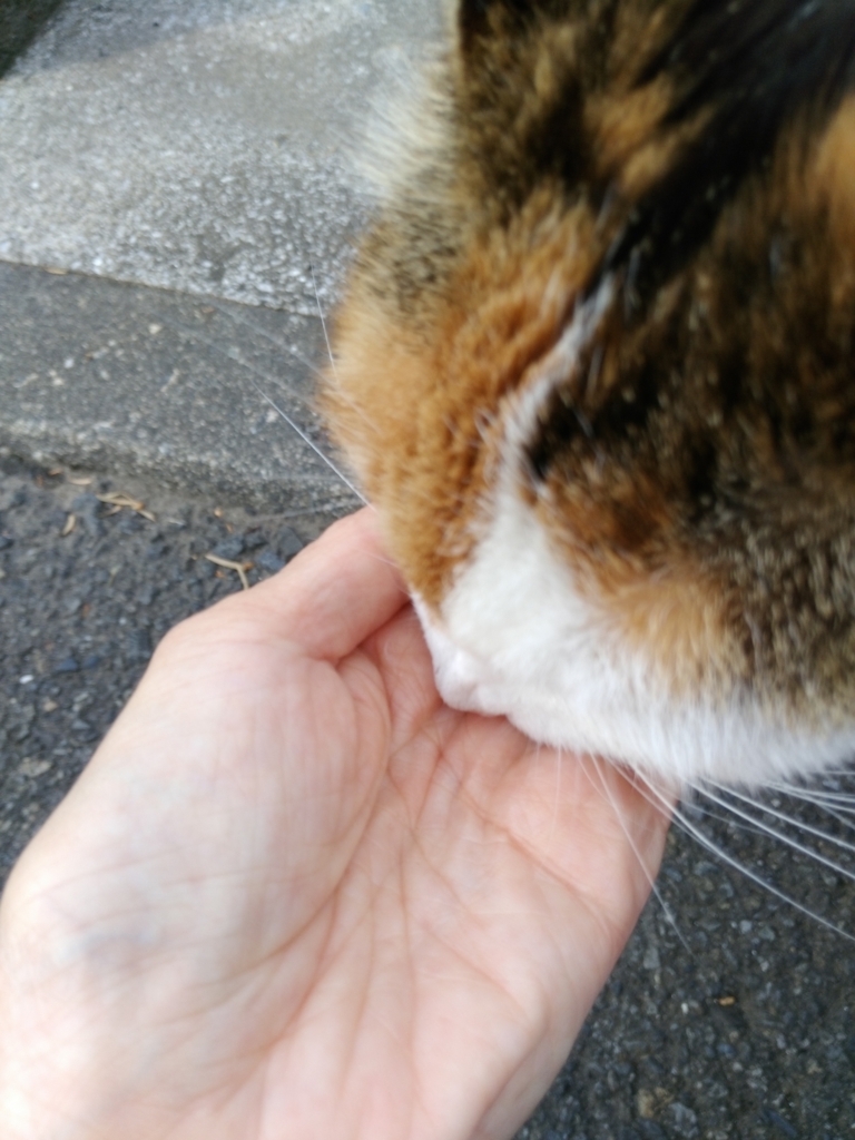 f:id:ot_nail:20170610135333j:plain