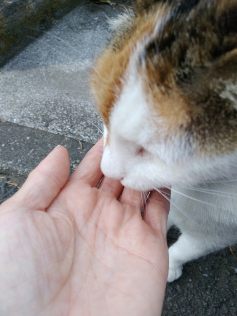 f:id:ot_nail:20170610135411j:plain