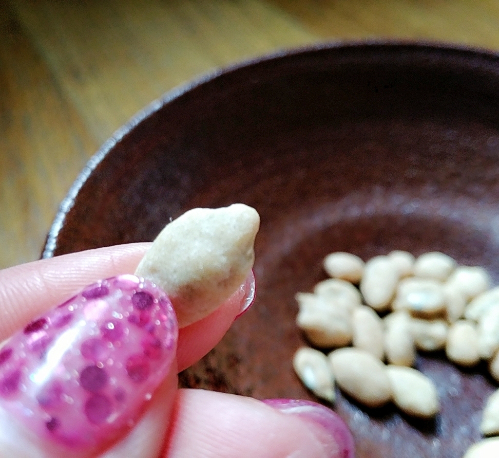 f:id:ot_nail:20190128173714j:plain