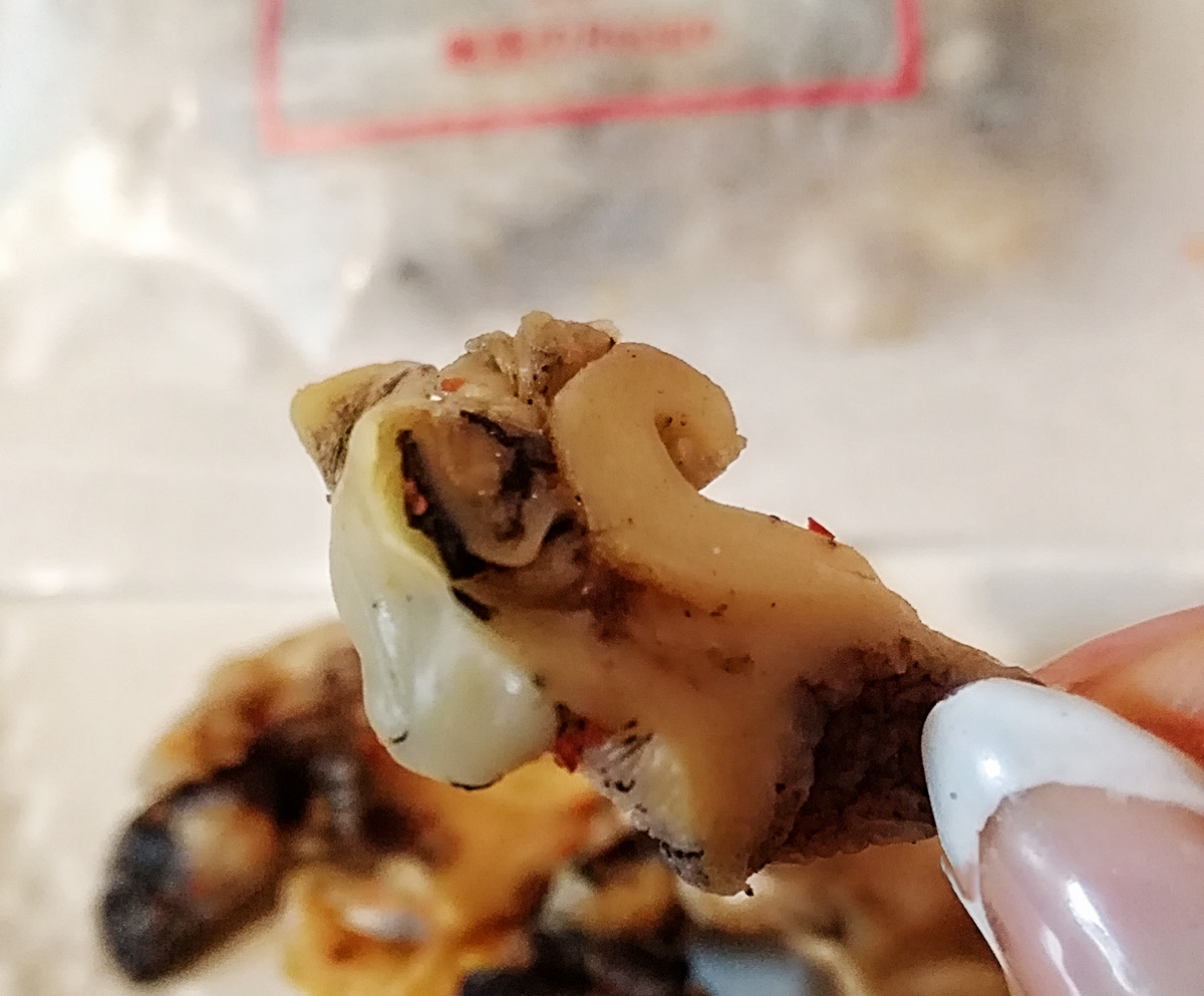 f:id:ot_nail:20190331094300j:plain
