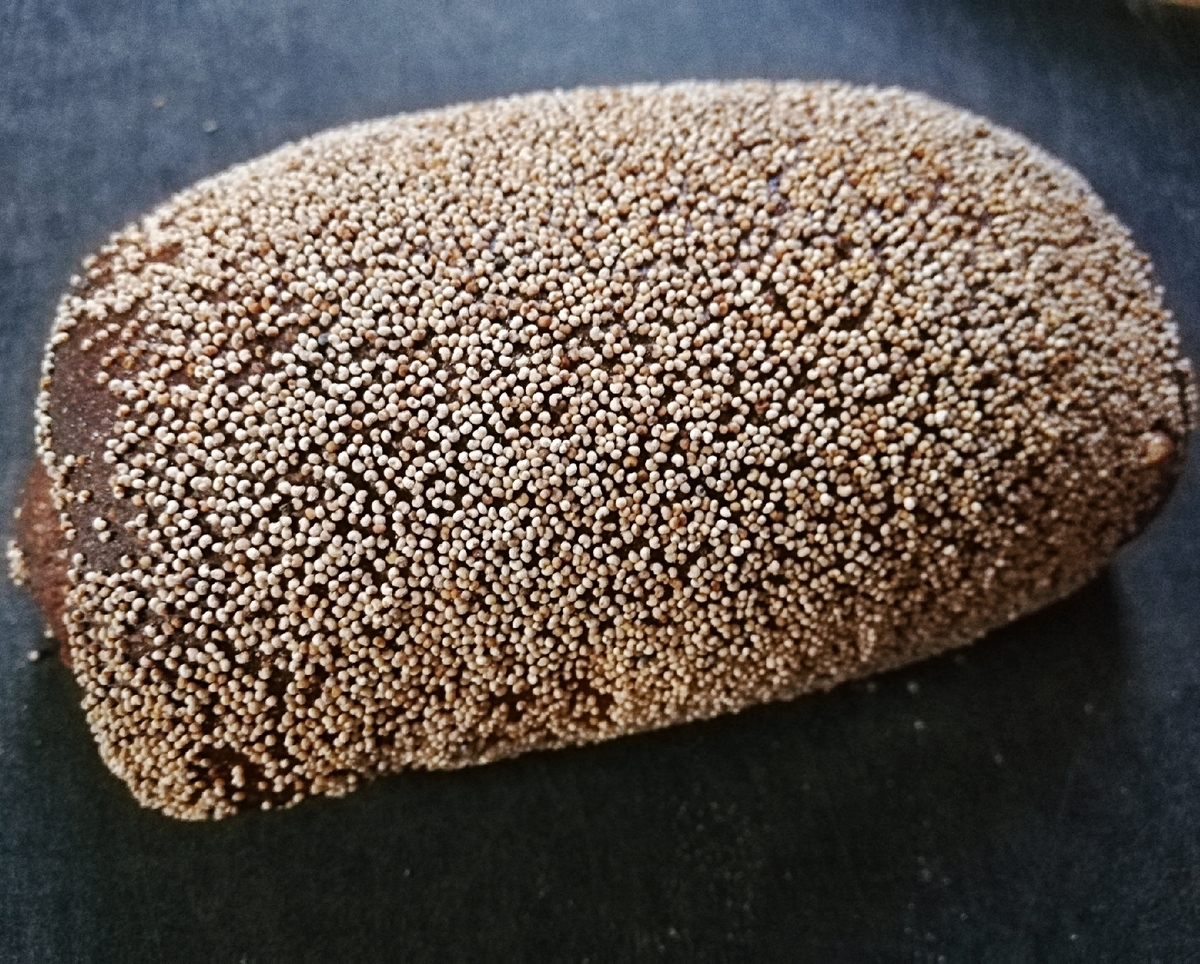 f:id:ot_nail:20190924122358j:plain f:id:ot_nail:20190924122358j:plain