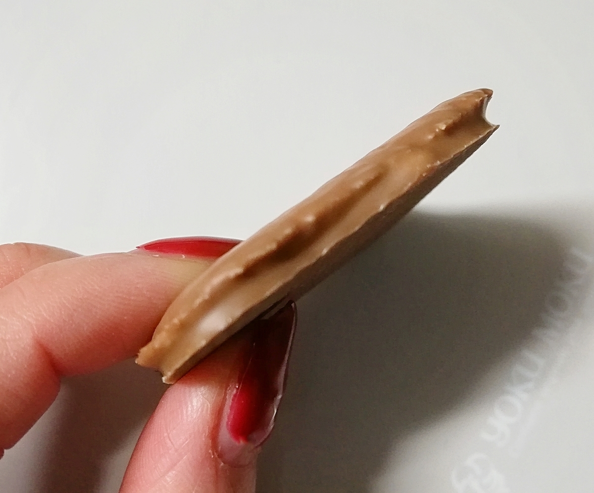 f:id:ot_nail:20200113090036j:plain