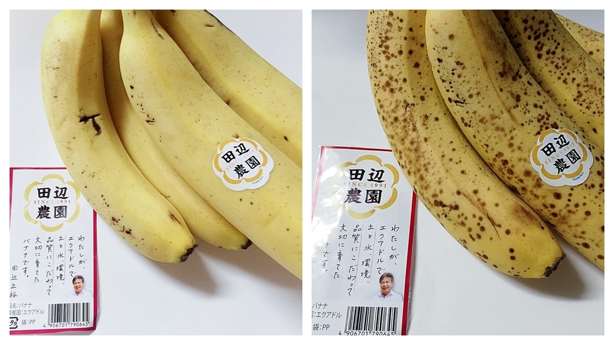 おうちバナナジュースを専門店の味に エクアドル田辺農園産バナナ ツレヅレ食ナルモノ