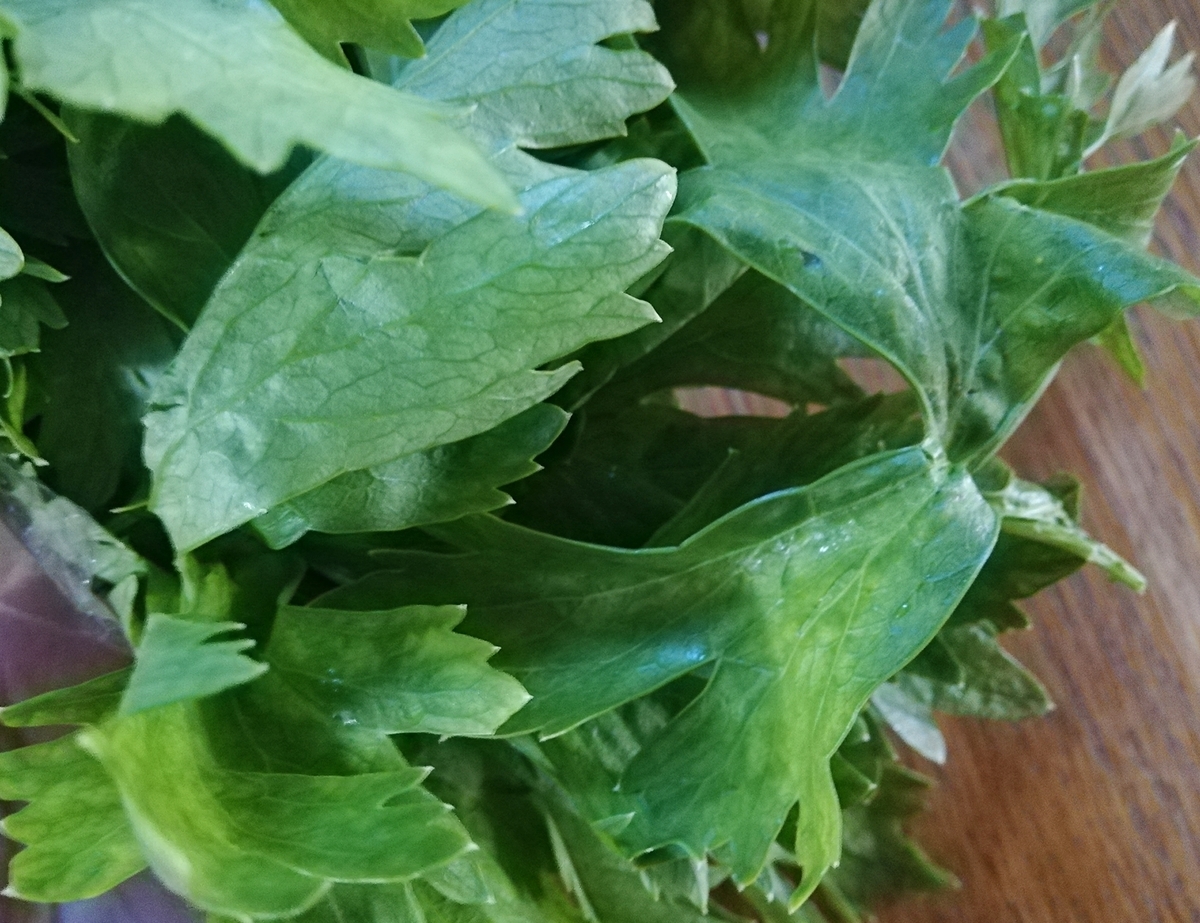 f:id:ot_nail:20200608165716j:plain