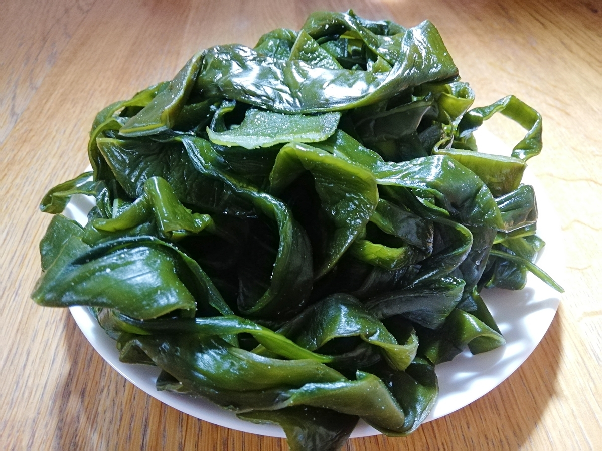 f:id:ot_nail:20200805163154j:plain