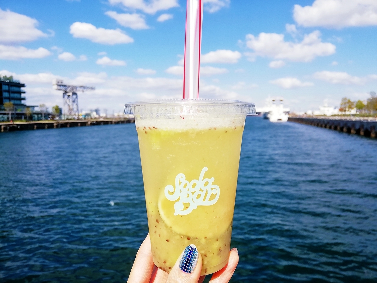 f:id:ot_nail:20201021182204j:plain f:id:ot_nail:20201021182204j:plain