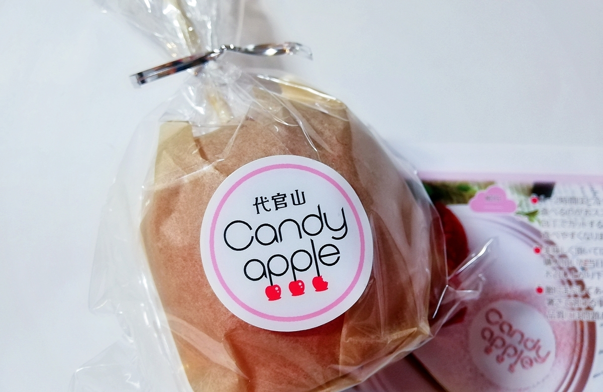 f:id:ot_nail:20210116172328j:plain