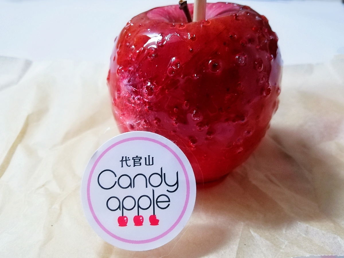 f:id:ot_nail:20210116172759j:plain