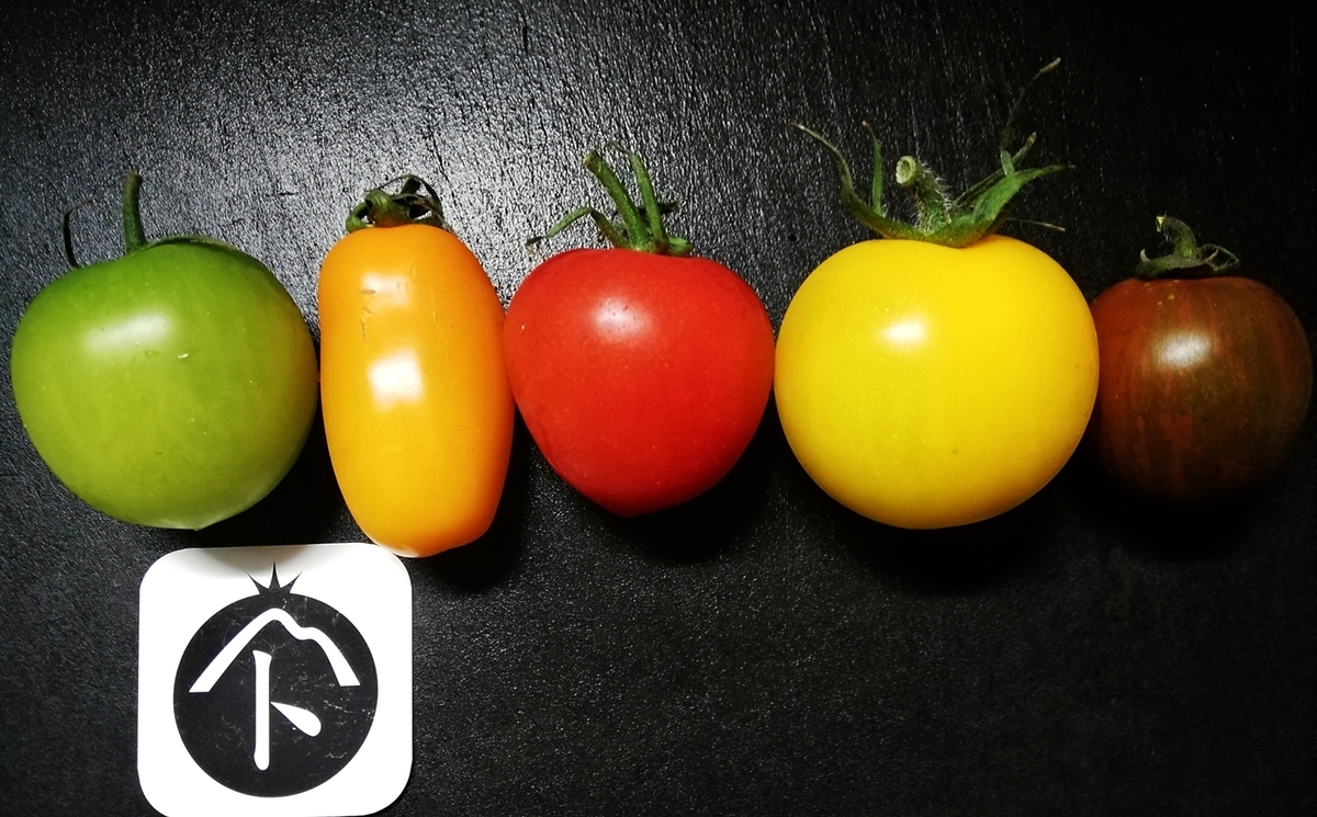 f:id:ot_nail:20210424192837j:plain