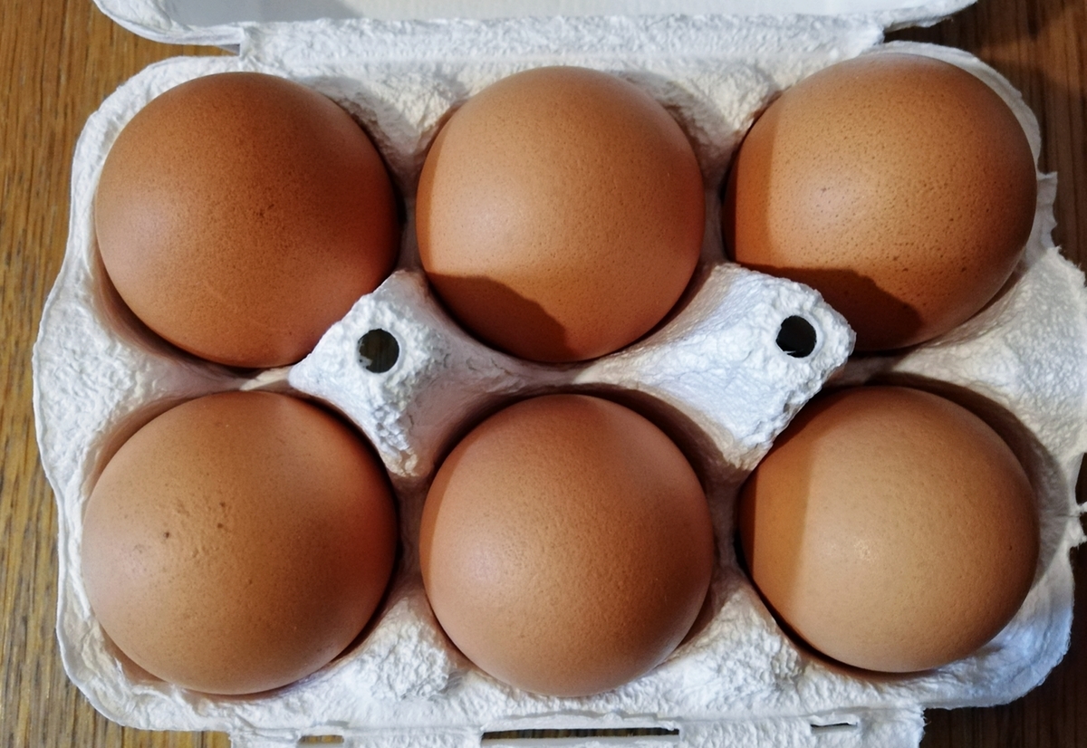 f:id:ot_nail:20211012152217j:plain