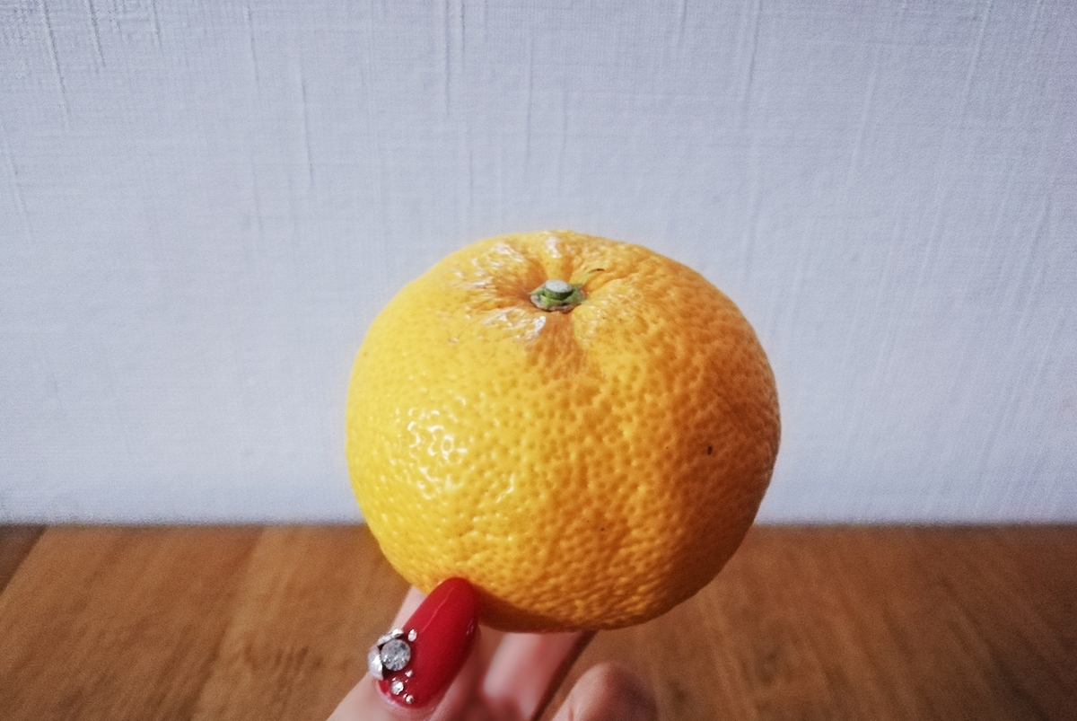 f:id:ot_nail:20211222164809j:plain