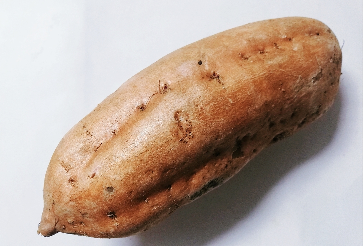 f:id:ot_nail:20220125160602j:plain