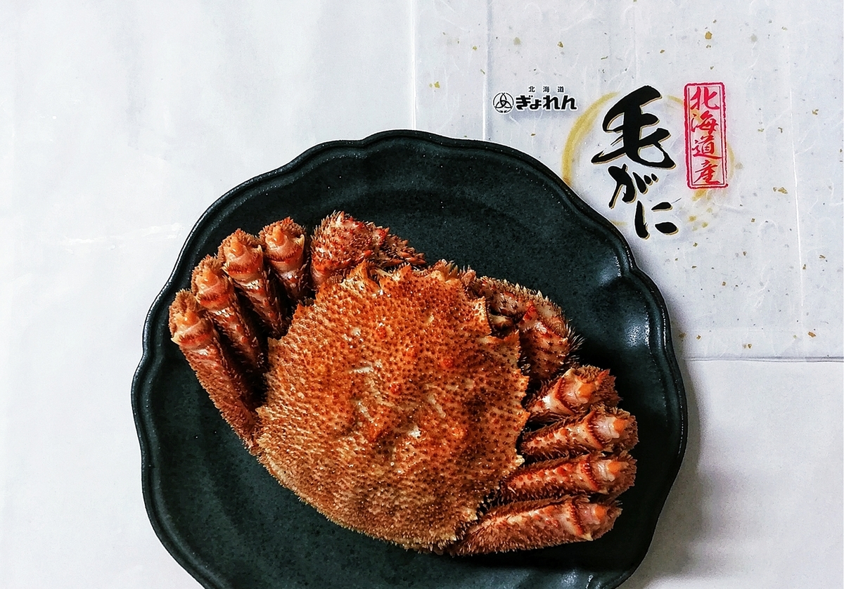 f:id:ot_nail:20220213185315j:plain