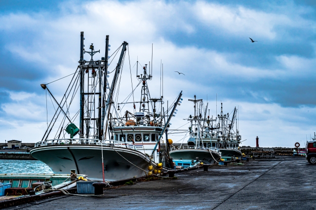 f:id:ot_nail:20220214123811j:plain