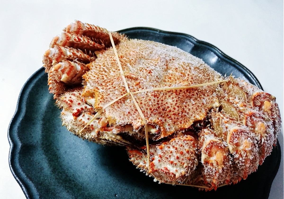 f:id:ot_nail:20220214124617j:plain