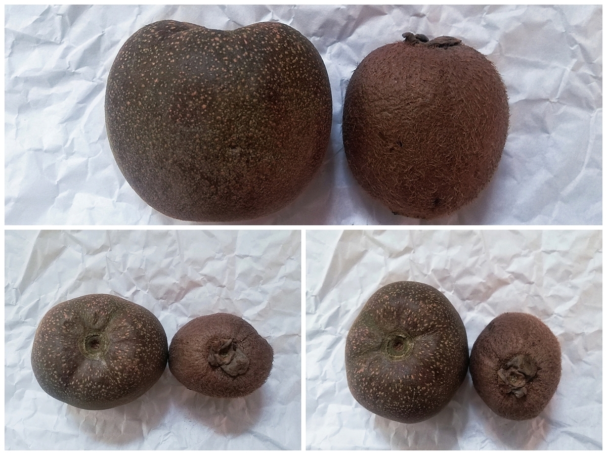 f:id:ot_nail:20220222132434j:plain