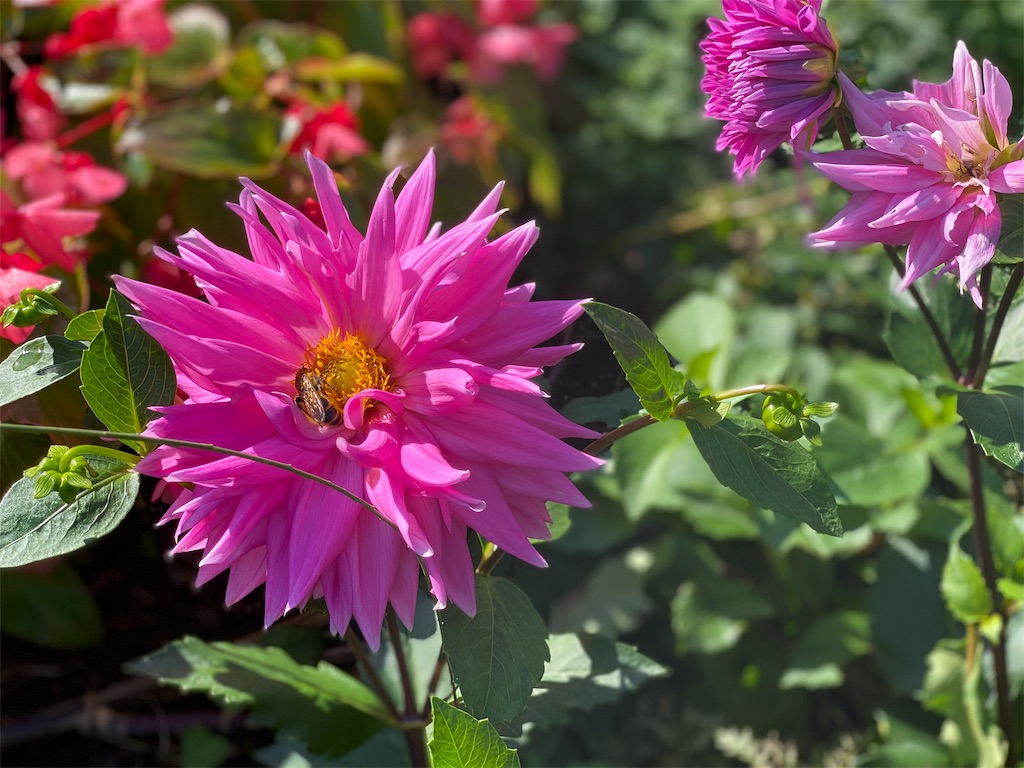 f:id:otafab:20191030233744j:image