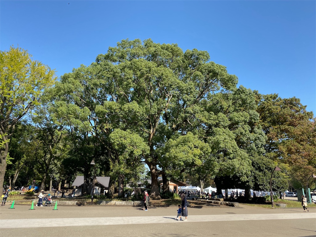 f:id:otafab:20191030234611j:image