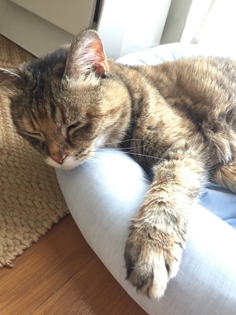 f:id:otafukuko:20180810165738j:plain f:id:otafukuko:20180810165738j:plain