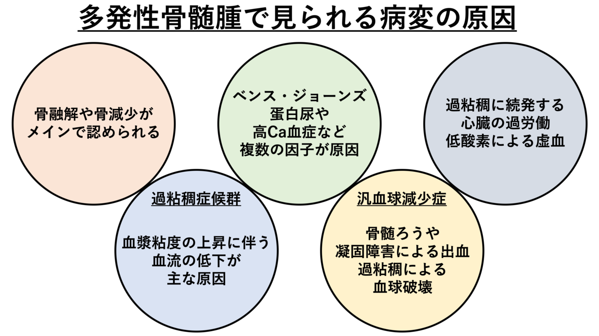 多発 性 骨髄 腫