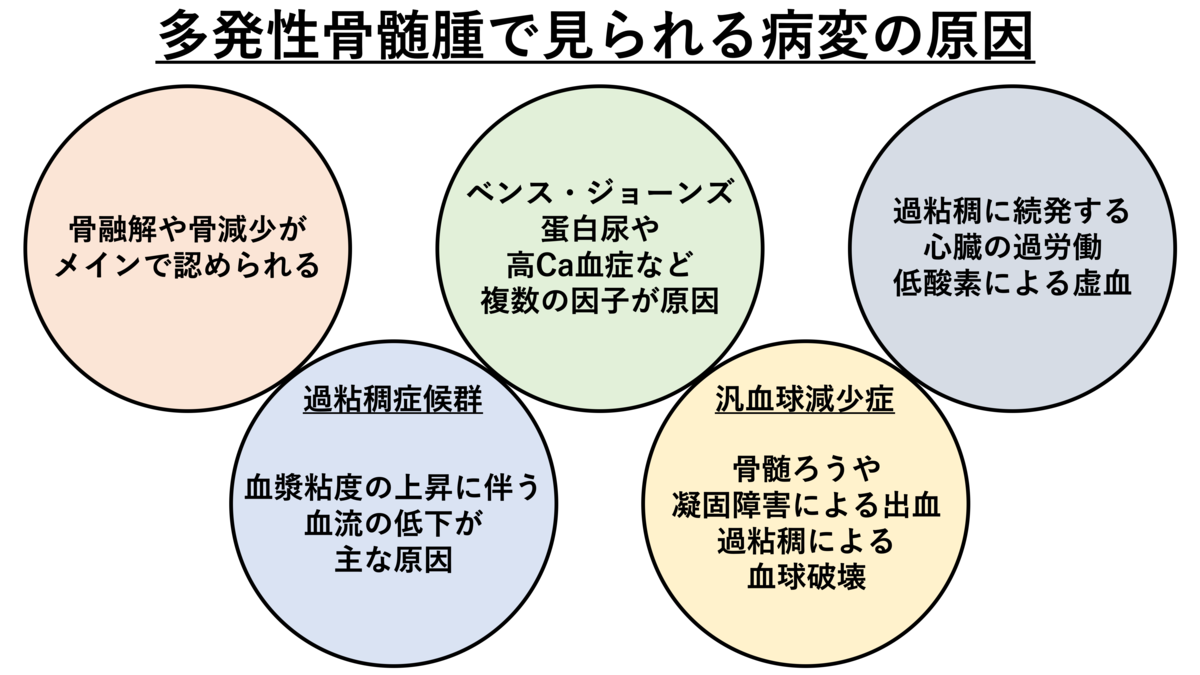見通し