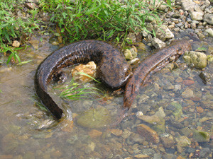 f:id:otakaramono:20090824234108j:image f:id:otakaramono:20090824234108j:image