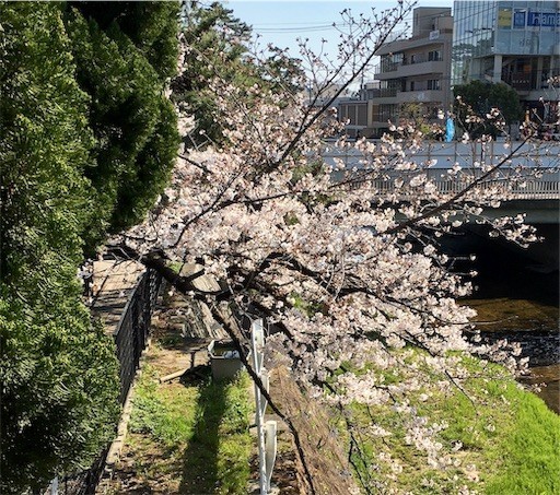 f:id:otakebi13:20190405145308j:image