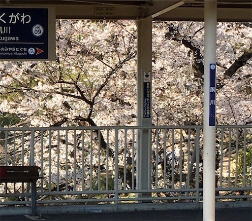f:id:otakebi13:20190405145320j:image