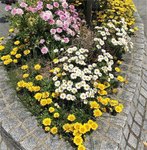 f:id:otakebi13:20190506200251j:image