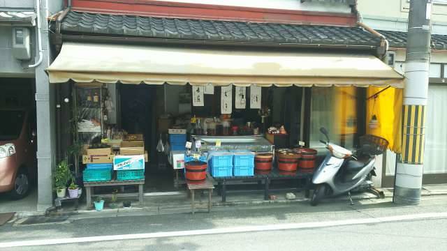 f:id:otaku-son:20190716214237j:plain f:id:otaku-son:20190716214237j:plain