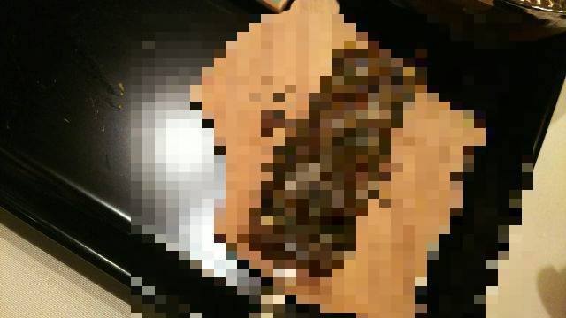 f:id:otaku-son:20190930014441j:plain