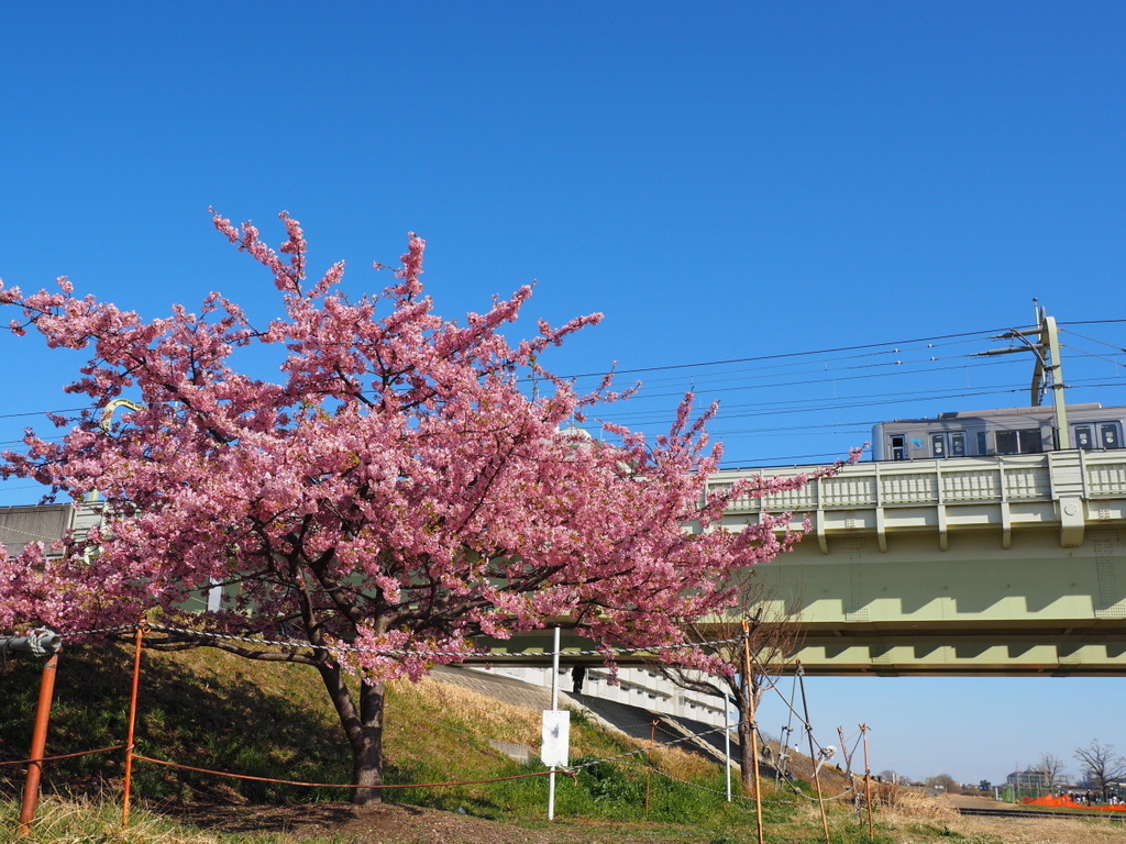 f:id:otaku4160:20190310010339j:plain f:id:otaku4160:20190310010339j:plain