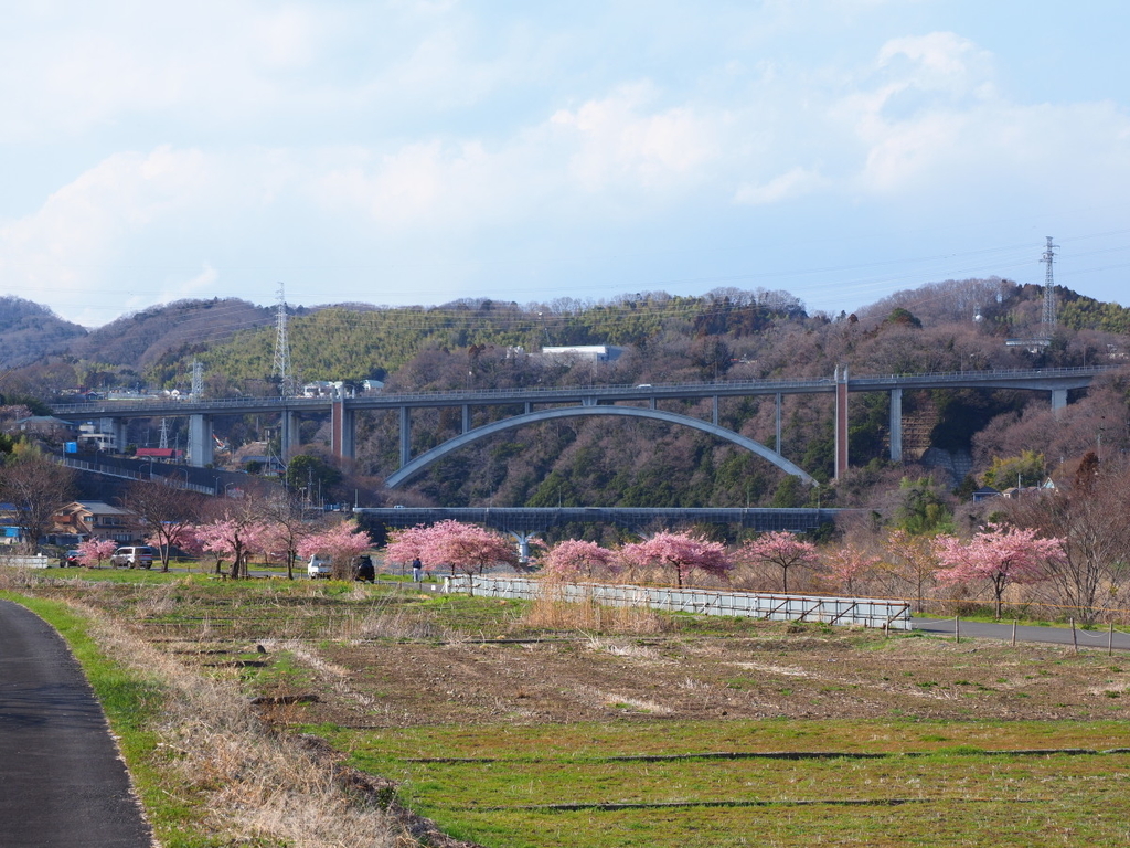 f:id:otaku4160:20190313013125j:plain f:id:otaku4160:20190313013125j:plain