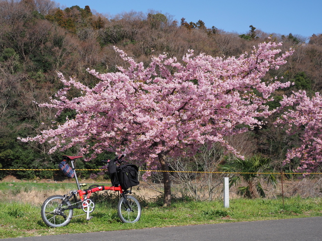 f:id:otaku4160:20190313013129j:plain f:id:otaku4160:20190313013129j:plain