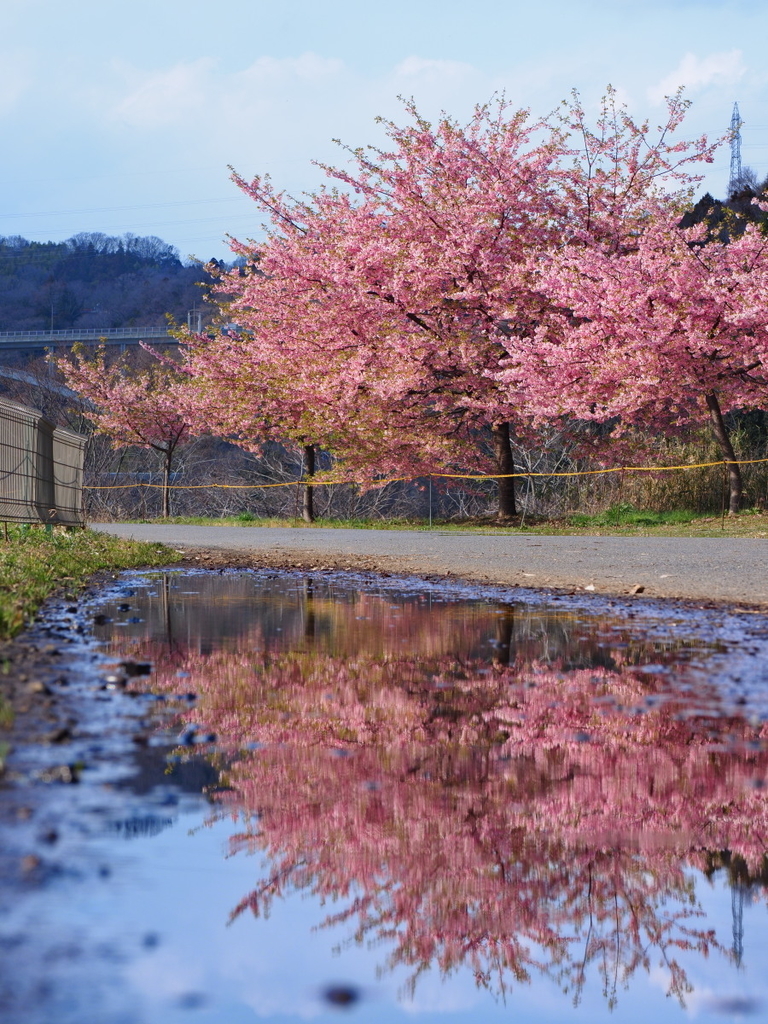 f:id:otaku4160:20190313013137j:plain f:id:otaku4160:20190313013137j:plain