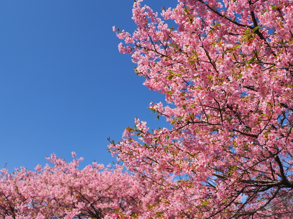 f:id:otaku4160:20190313013226j:plain f:id:otaku4160:20190313013226j:plain