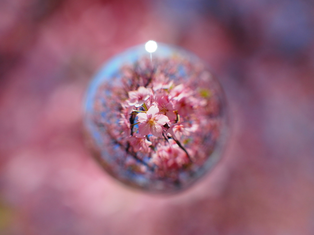 f:id:otaku4160:20190313013239j:plain f:id:otaku4160:20190313013239j:plain