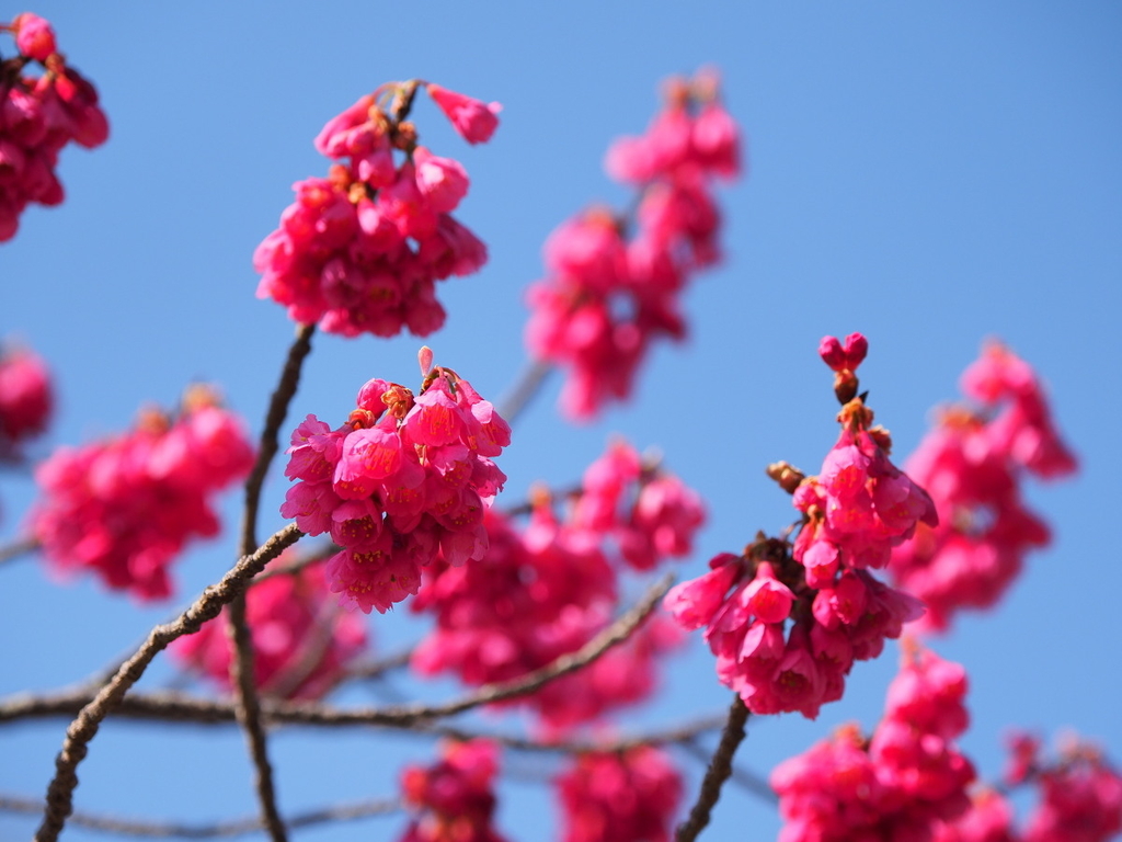 f:id:otaku4160:20190313013301j:plain f:id:otaku4160:20190313013301j:plain