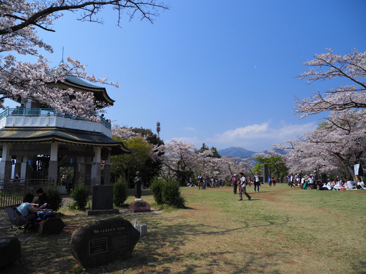 f:id:otaku4160:20190407004949j:plain f:id:otaku4160:20190407004949j:plain