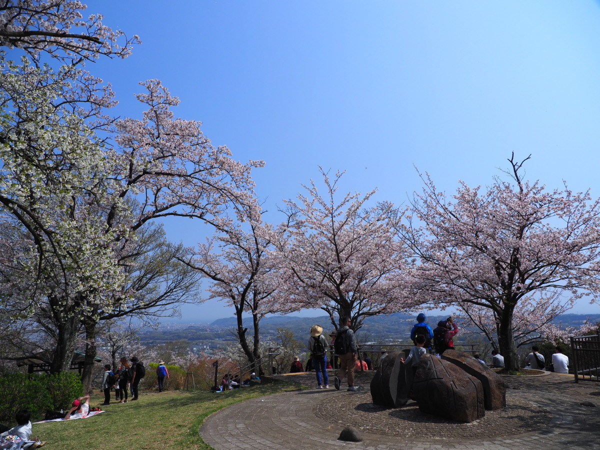 f:id:otaku4160:20190407004953j:plain f:id:otaku4160:20190407004953j:plain