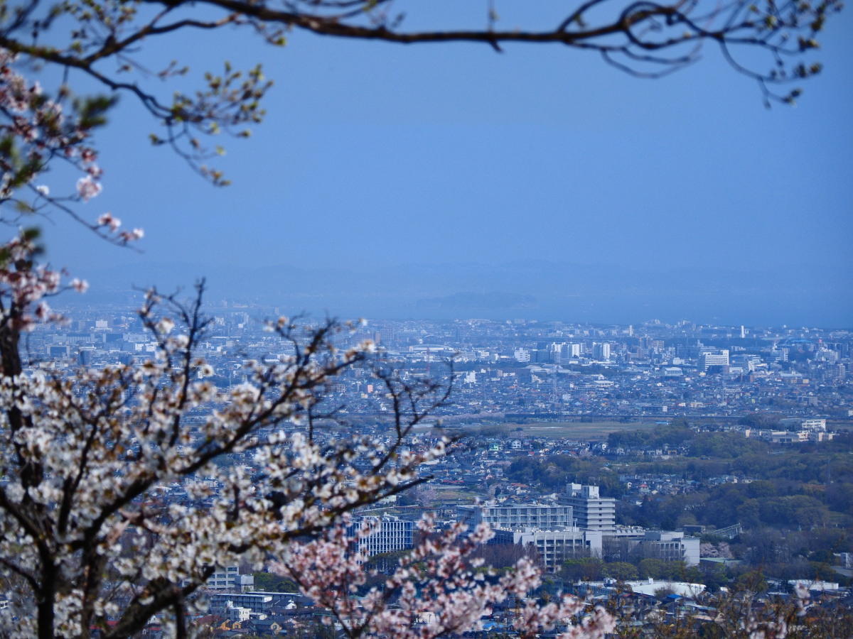 f:id:otaku4160:20190407004957j:plain f:id:otaku4160:20190407004957j:plain