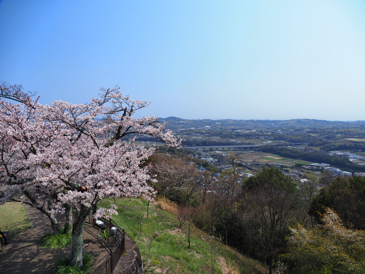 f:id:otaku4160:20190407005010j:plain f:id:otaku4160:20190407005010j:plain