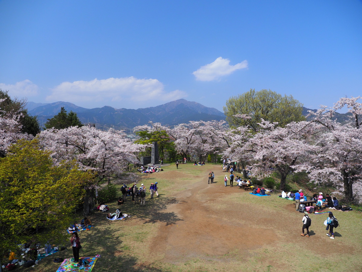 f:id:otaku4160:20190407005015j:plain f:id:otaku4160:20190407005015j:plain