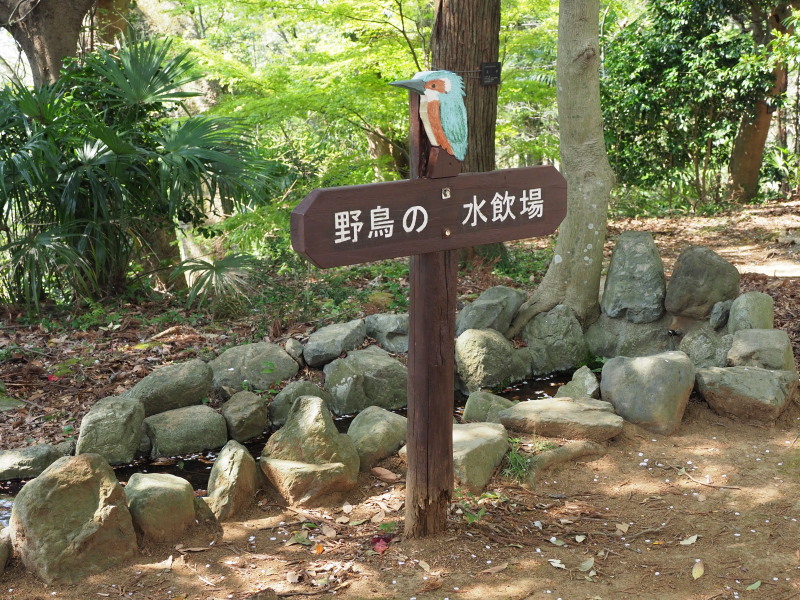 f:id:otaku4160:20190407005055j:plain f:id:otaku4160:20190407005055j:plain