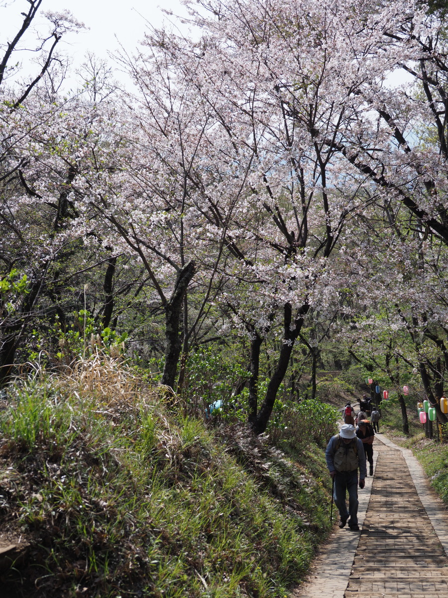 f:id:otaku4160:20190407005059j:plain f:id:otaku4160:20190407005059j:plain