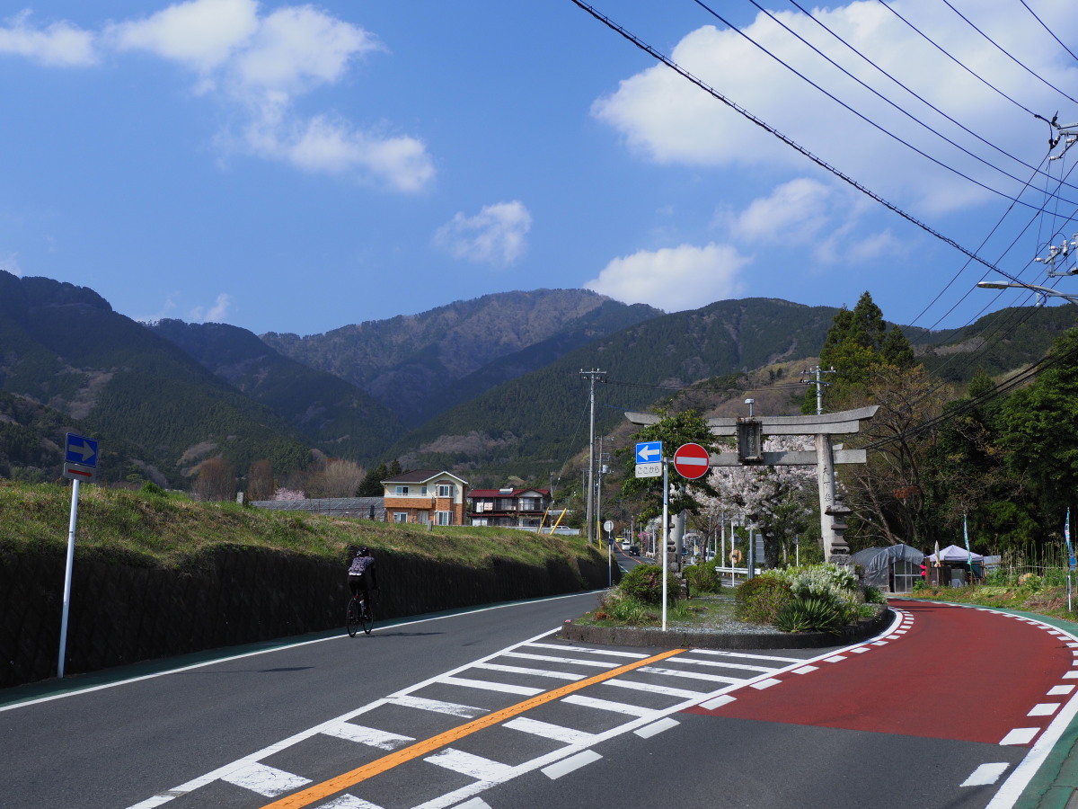 f:id:otaku4160:20190407005113j:plain f:id:otaku4160:20190407005113j:plain