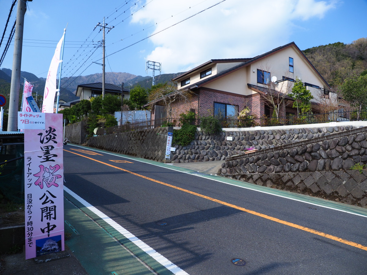 f:id:otaku4160:20190407005119j:plain f:id:otaku4160:20190407005119j:plain